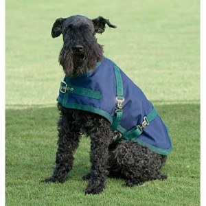 Riders International Dog Turnout Sheet