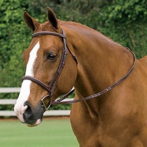 Crown Padded Stitched Bridle
