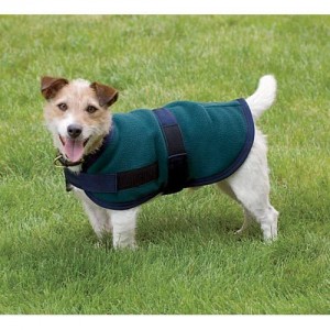 Riders International Fleece Dog Blanket