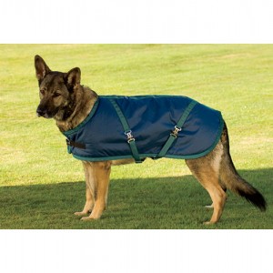 Riders International Fleece Lined Dog Blanket