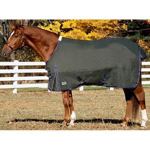 Riders International Supreme Medium Weight Blanket
