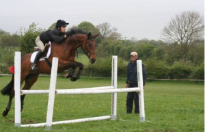 jumping micklem bridle