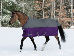 northwind turnout blanket