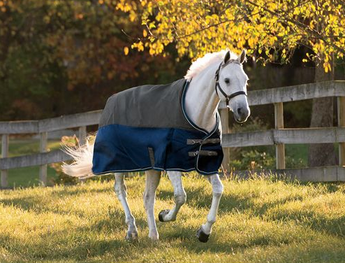 westland survival horse blanket