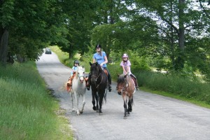 family riding