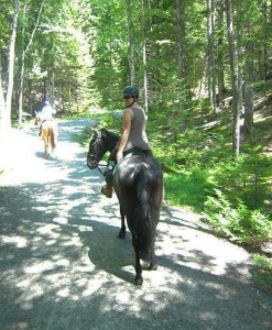 acadia national park