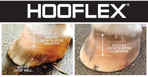 hooflex supplement