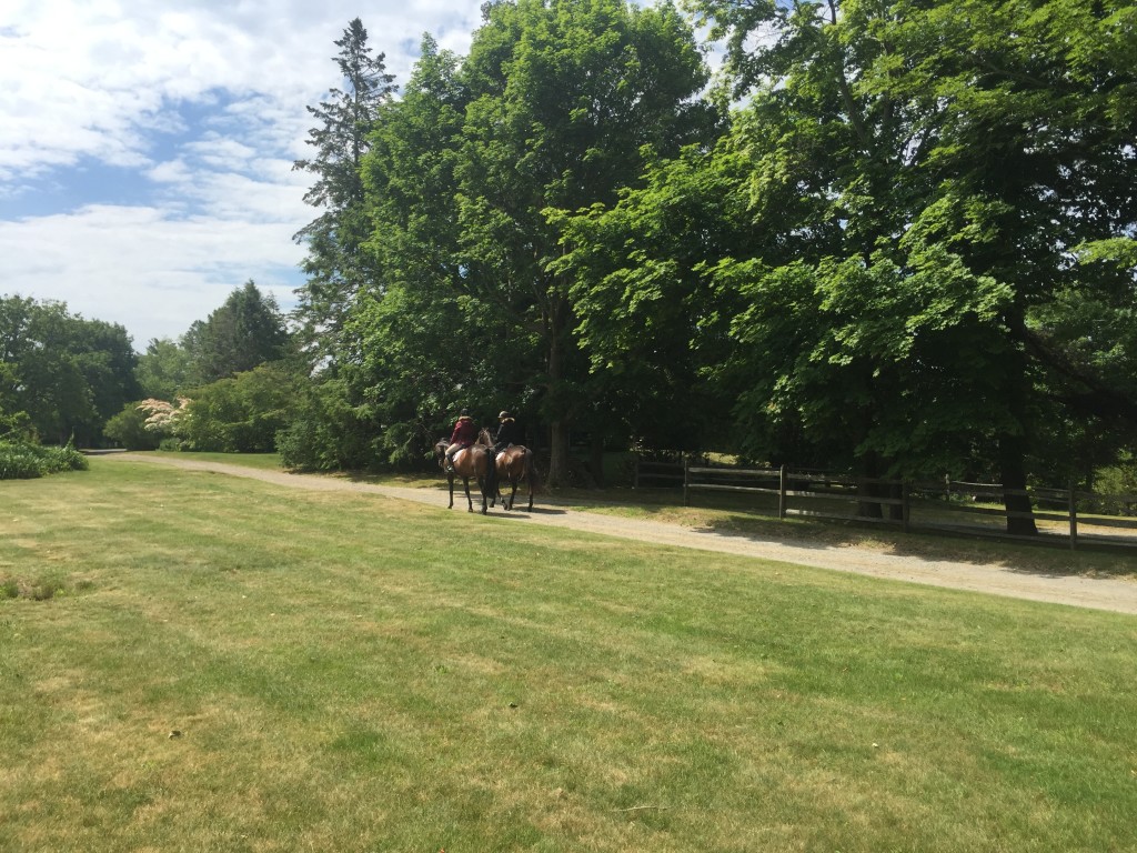 riding at brackenside