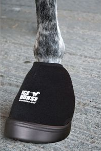 ice hrose hoof boot