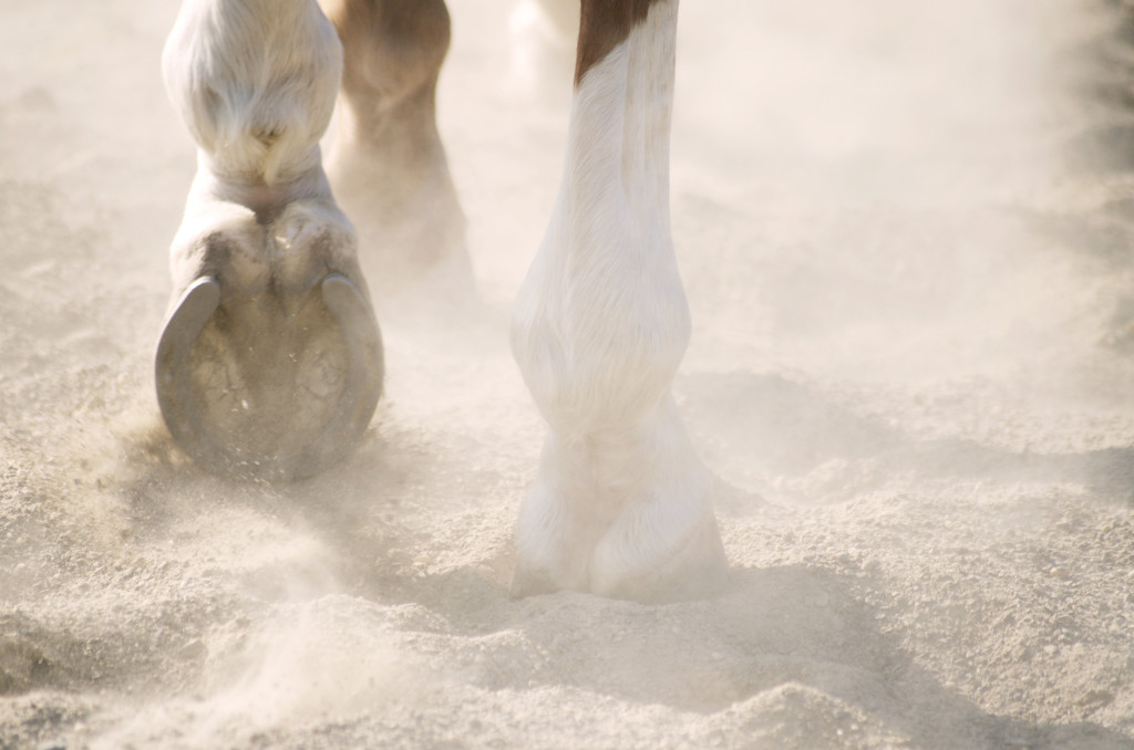 hoof growth