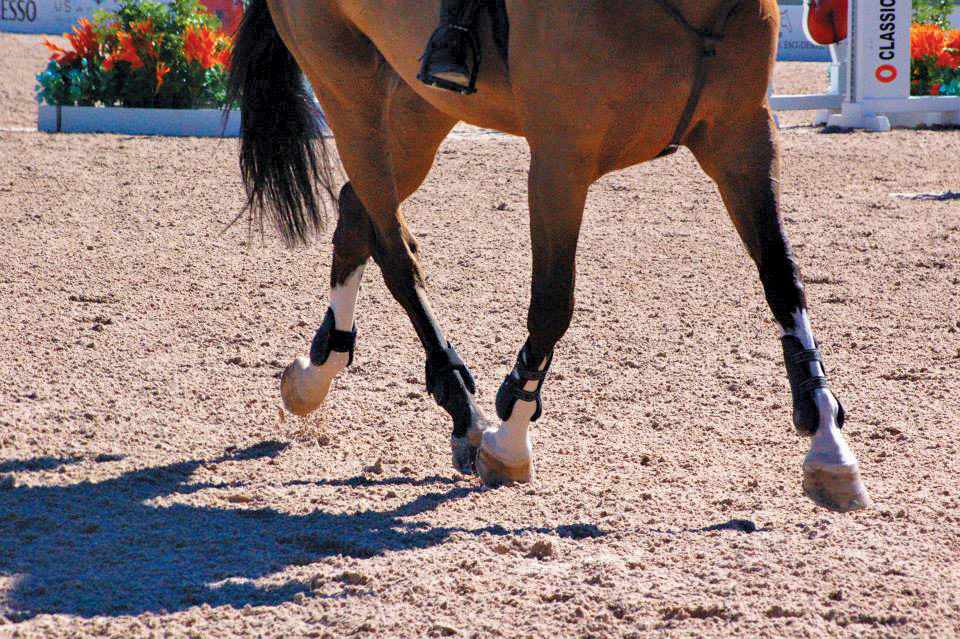 Equestrian Services International Footing