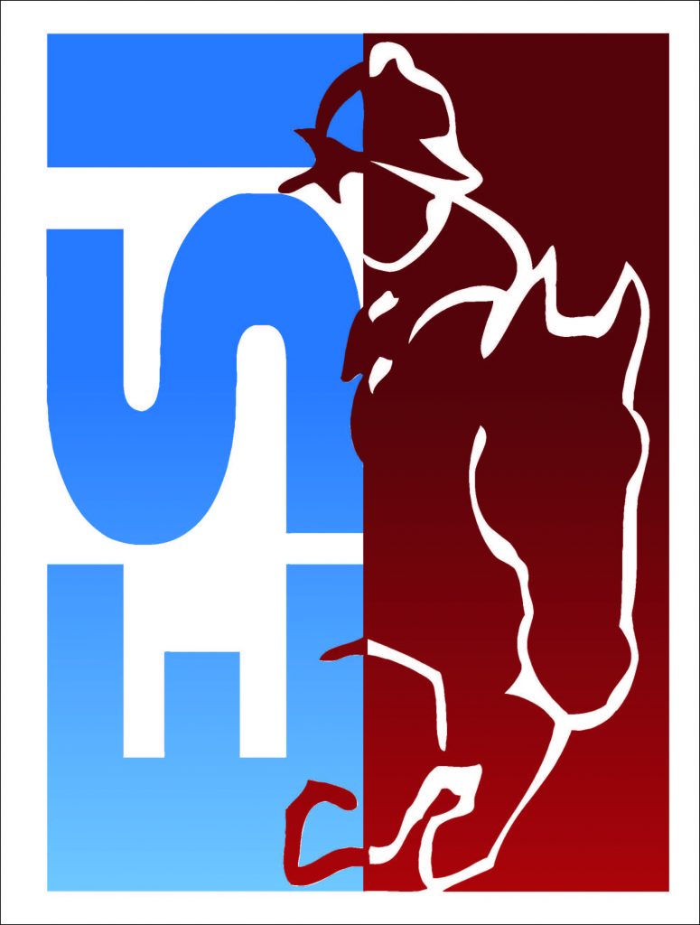 Equestrian Services International Logo