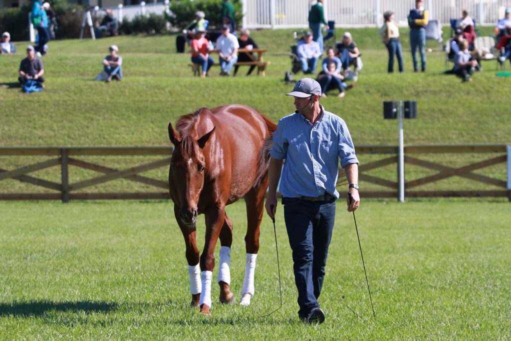 Tik Maynard at the 2015 Thoroughbred Makeover