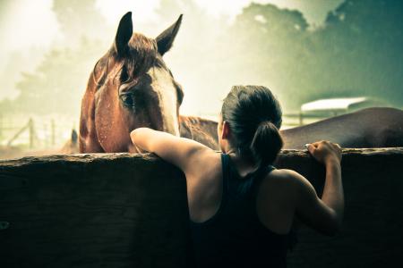 Girl in tank top looking over a fence at a horse on a summer day.