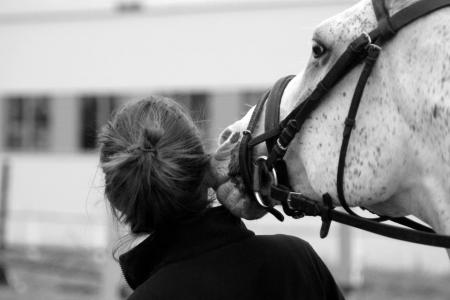 Black and white image of a grey horse wearing a bridle nuzzling rider's head.