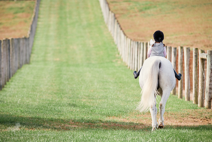 Young girl riding white pony on a summer trail ride.