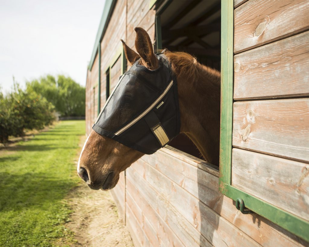  TGW RIDING Horse Fly Mask Super Comfort Horse Fly Mask