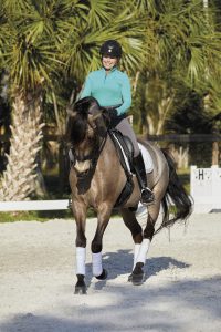 A rider and horse are riding in an arena with palm trees in the background. Both the horse and rider are racing the camera. The rider is wearing a black helmet, aqua shirt, grey pants and black boots. The horse is tan and is wearing a black bridle and saddle, and white polo wraps.