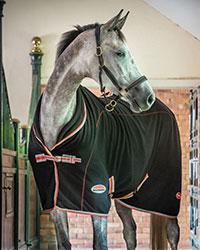 A dapple grey horse is shown standing in the hallway of a barn with it's face turned to the right. The horse is wearing a WeatherBeeta Therapy-Tec sheet. The sheet is black with red and white trim.