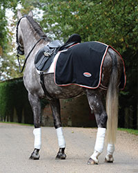 A dapple grey horse is shown facing away from the camera, standing on a paved road against a background of green trees and a stone wall. The horse is wearing a WeatherBeeta Therapy-Tec Quarter Sheet that covers it's hindquarters. The sheet is black with red and white trim. The horse is also wearing a black bridle and saddle with a white saddle pad.