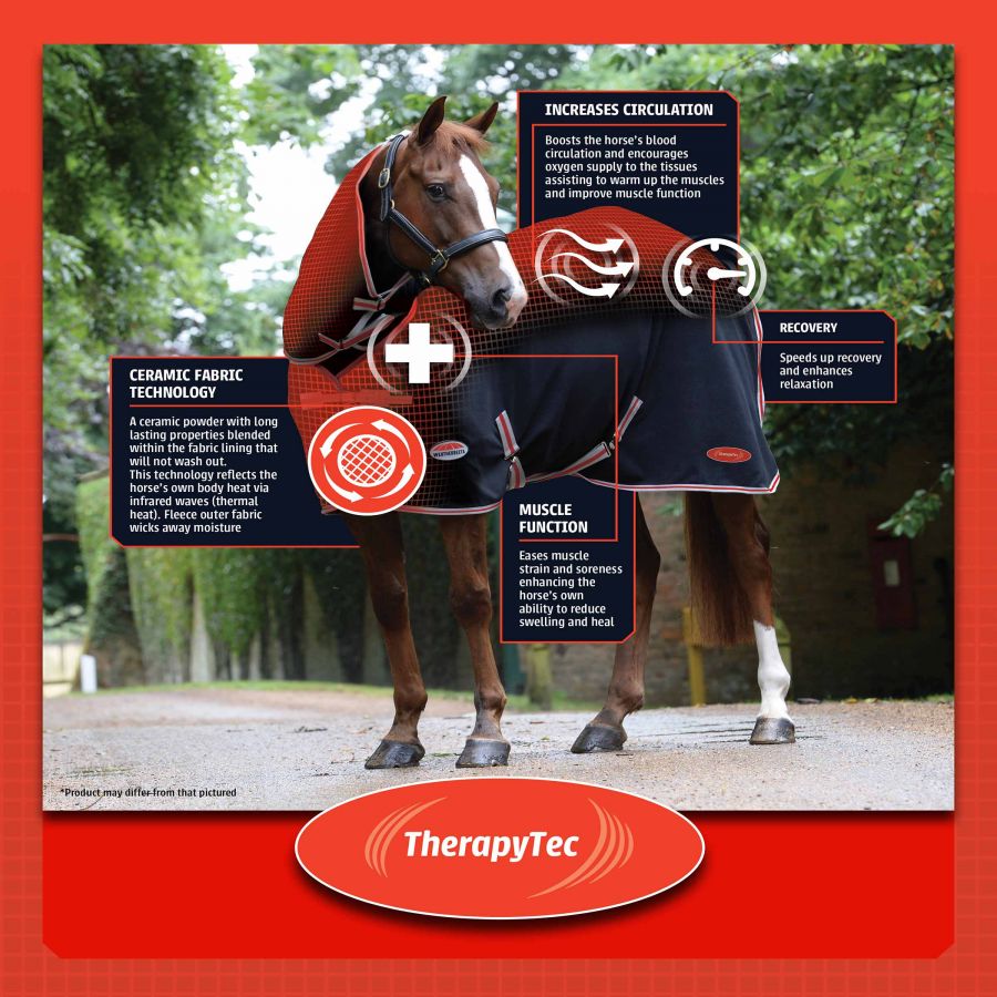 WeatherBeeta Therapy-Tec Makes Lives Better for Horses & Dogs