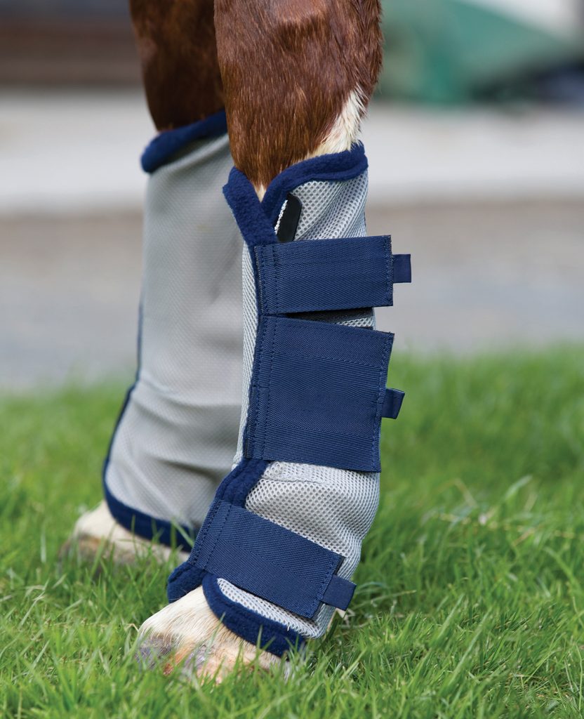 Two horse legs are shown standing on grass. There are grey mesh wraps with blue velcro fastened around the legs.