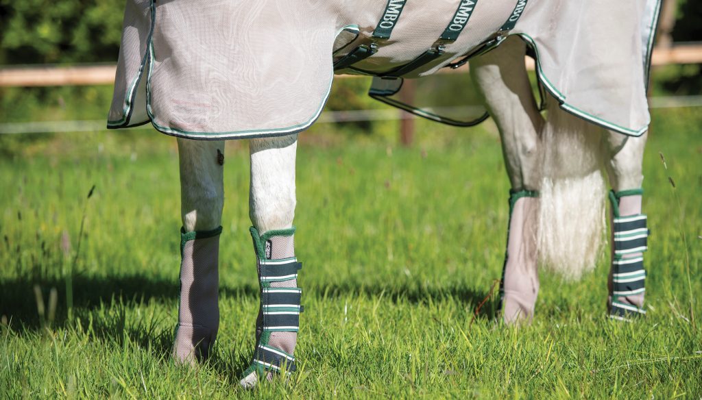 The belly and four legs of a white horse is shown standing in a grassy field. The horse is wearing a white mesh fly sheet with green trim and buckles across the belly, and grey mesh wraps with four dark green Velcro straps on each wrap to secure them to each of the four legs.