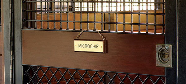 A wood and brass stall plate with a chain is shown hanging on a metal and wood stall door. The stall plate is engraved with the name "MICROCHIP".