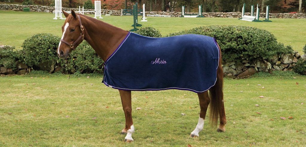 A brown horse facing left is shown standing in a grassy field. It is wearing a blue blanket with the word "Nesto" embroidered in white on the belly.