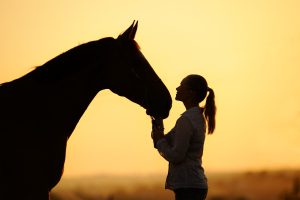 A silhouette of a horse and a woman with a pony tail facing each other is set against a yellow sunset background.