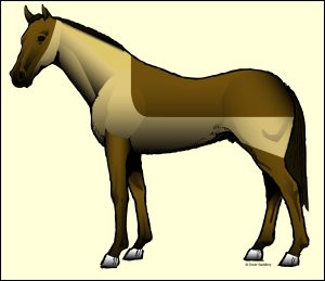 A drawing of a brown horse against a yellow background. The horse has a blanket clip: Hair is removed from the head, neck and flanks, but is left intact on the back, hind end and legs.