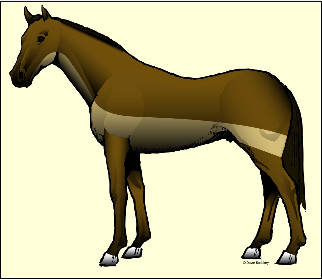 A drawing of a brown horse against a yellow background. The horse has a trace clip: Hair is removed from the underside and sides of the neck, shoulders and belly and is left intact on the legs and body.