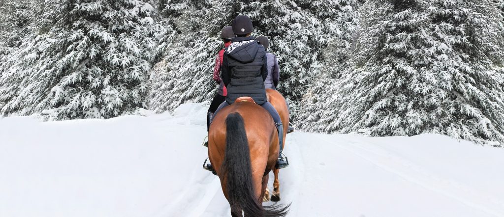 Three riders, one in front of the other are riding horses outside in the snow. Their backs are turned and are headed into snowy woods.