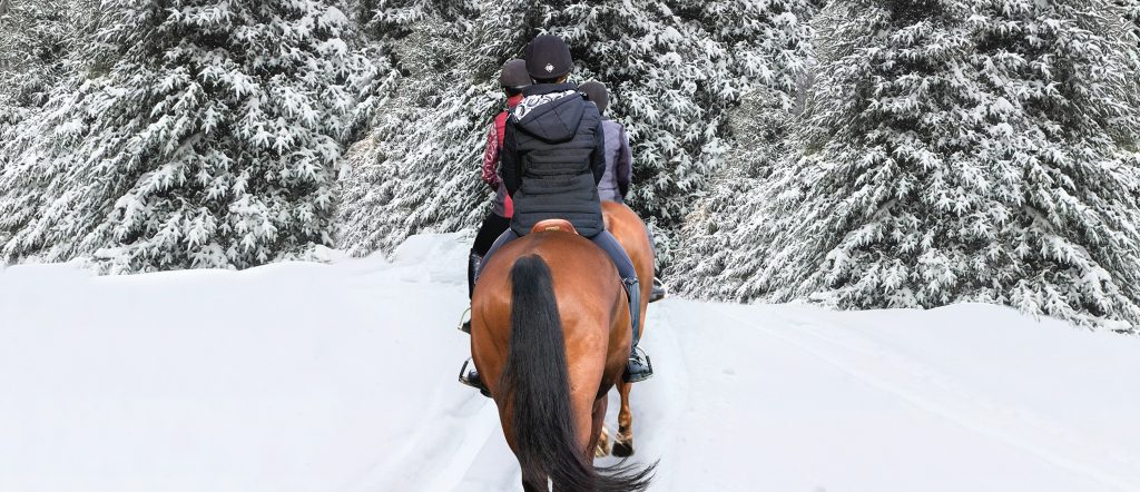 HEATED WINTER BREECHES - Equine Essentials Tack & Laundry Services