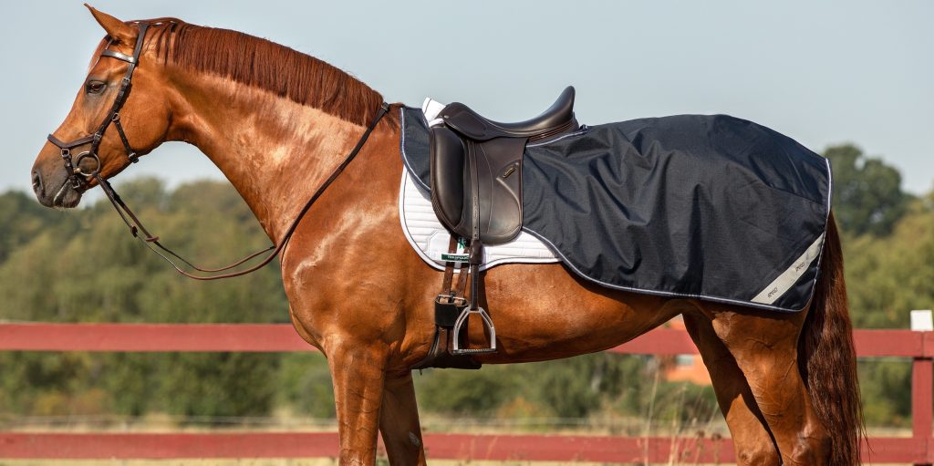 A chestnut colored horse is shown standing to the side, facing the left. The horse is wearing a bridle, dressage saddle, white saddle pad, girth, and a dark blue waterproof quarter sheet that covers its hindquarters. The horse is standing in front of a red fence and trees.