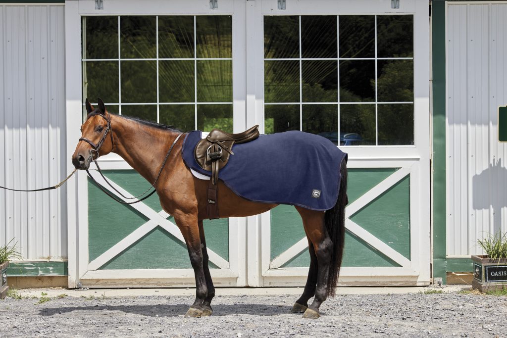 A brown horse facing left is standing in front of green and white doors with glass windows to a barn. The horse is wearing a bridle, close contact saddle, saddle pad, girth and navy blue fleece quarter sheet covering its hindquarters. There is a chain lead rope attached to the bridle that is being held out of shot.