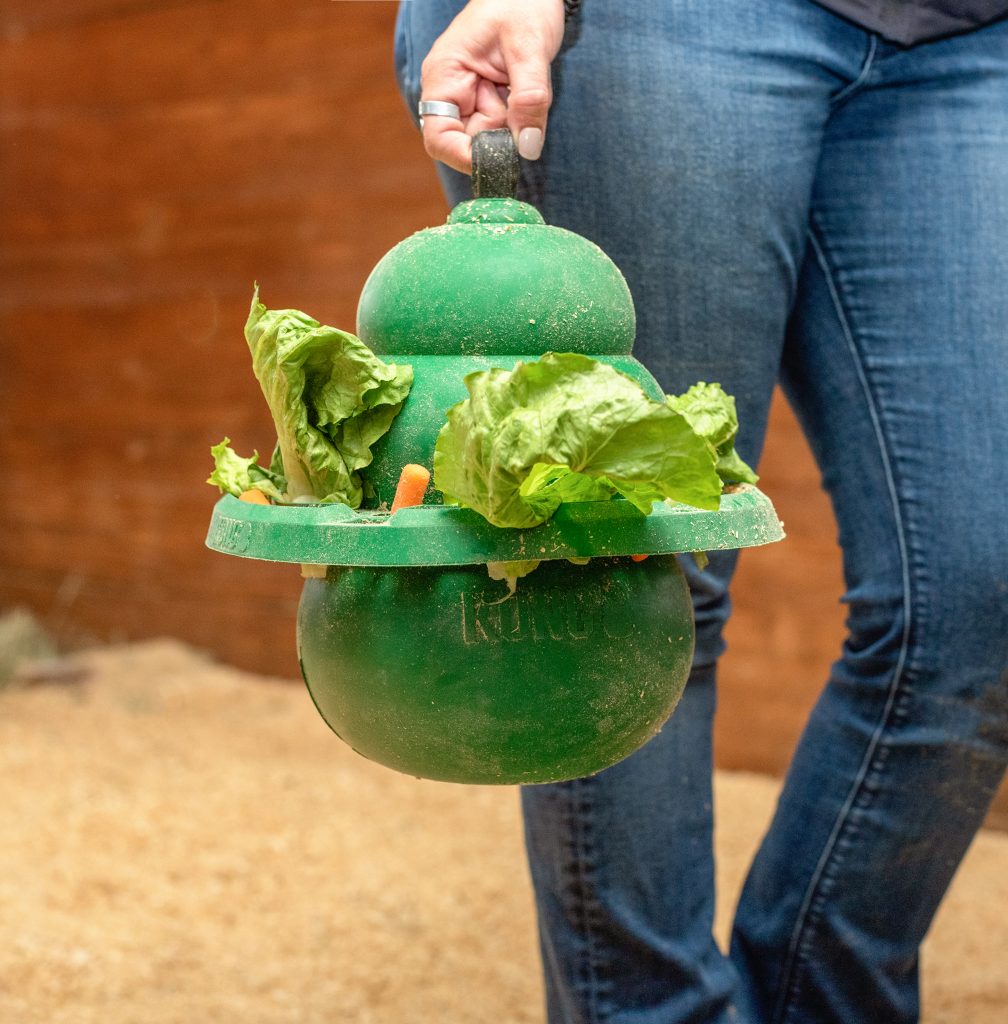 A person wearing jeans is shown from the hips down carrying a large green horse toy filled with lettuce and carrots.