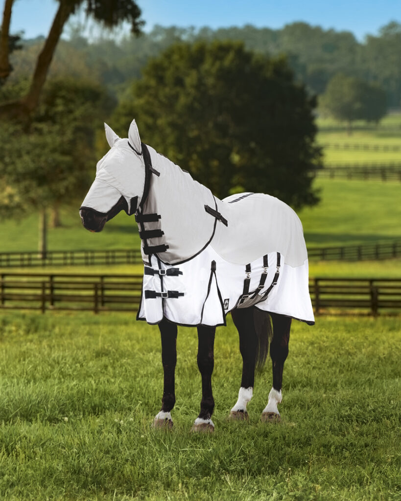 A brown horse is standing in a grassy field wearing a white fly sheet, neck cover and fly mask with black trim and black buckles.