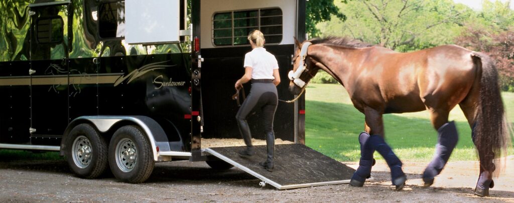 A woman with blond hair in a pony tail is leading a brown horse wearing navy blue shipping boots and a sheepskin shipping halter up a ramp and into the back of a black horse trailer.