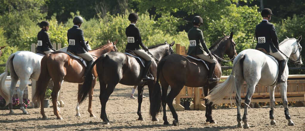 A row of five riders and their horses are lined up with their backs facing the cameras in an outdoor riding arena. The horses are of varying colors and all riders are wearing black helmets and show coats with tan breeches. They also all have white cards with black numbers tied around their lower backs.