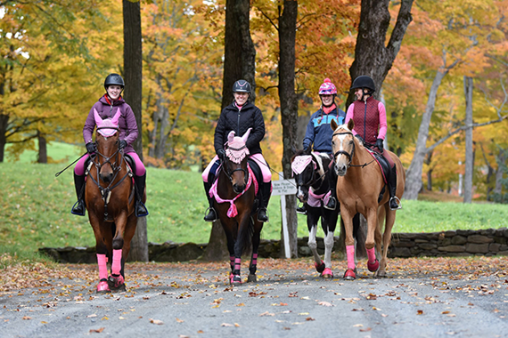 Dover Saddlery, Other