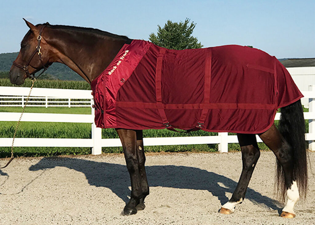 A brown horse is facing left wearing a burgundy Back on Track Mesh Sheet.