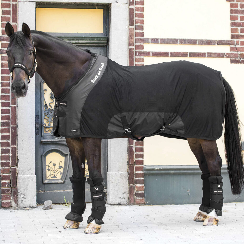 A dark brown horse is wearing a black Back On Track Royal Mesh Deluxe Sheet and four Back On Track Quick Wraps on its legs. The horse is posing in front of a brick building and is wearing a Back on Track branded halter.