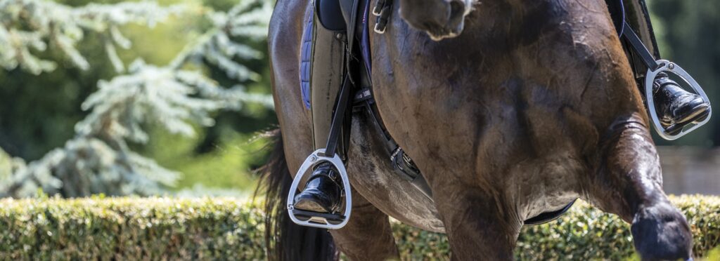 An image of a horse and rider riding in a ring that has been cropped to only show the horse from its barrel to its knees. The only part of the rider that is shown is their leg below their knees.