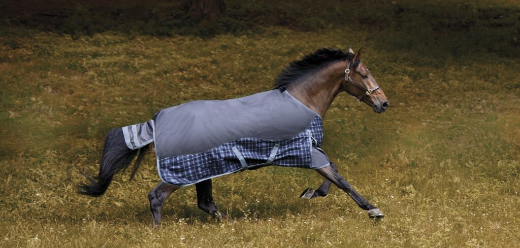 A brown horse with a black mane and tail is wearing a grey blanket that has blue and white plaid around the chest and skirt. The horse is running in a grassy field.