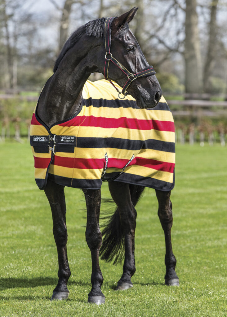 An all black horse is wearing a Horseware cooler with yellow, red and black horizontal stripes. The horse is standing in a grassy field, also wearing a black Horseware branded nylon halter.