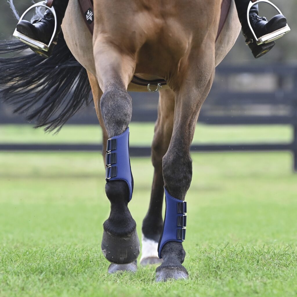 A chest down image of a horse walking towards the camera. The horse is wearing blue splint boots on it's front legs and you can see the rider's feet in stirrups before the image is cut off.