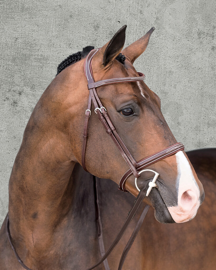 The Schockemöhle Montreal Select Anatomic Hunter Bridle - the perfect gift for your horse